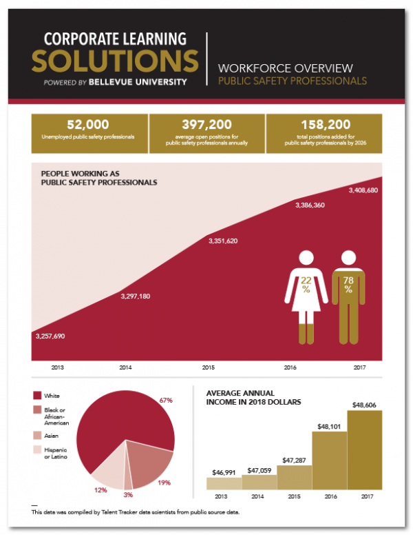 Workforce Overview - Public Safety