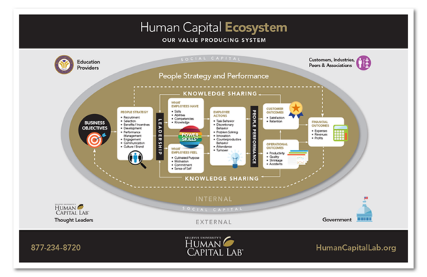 Human Capital Ecosystem